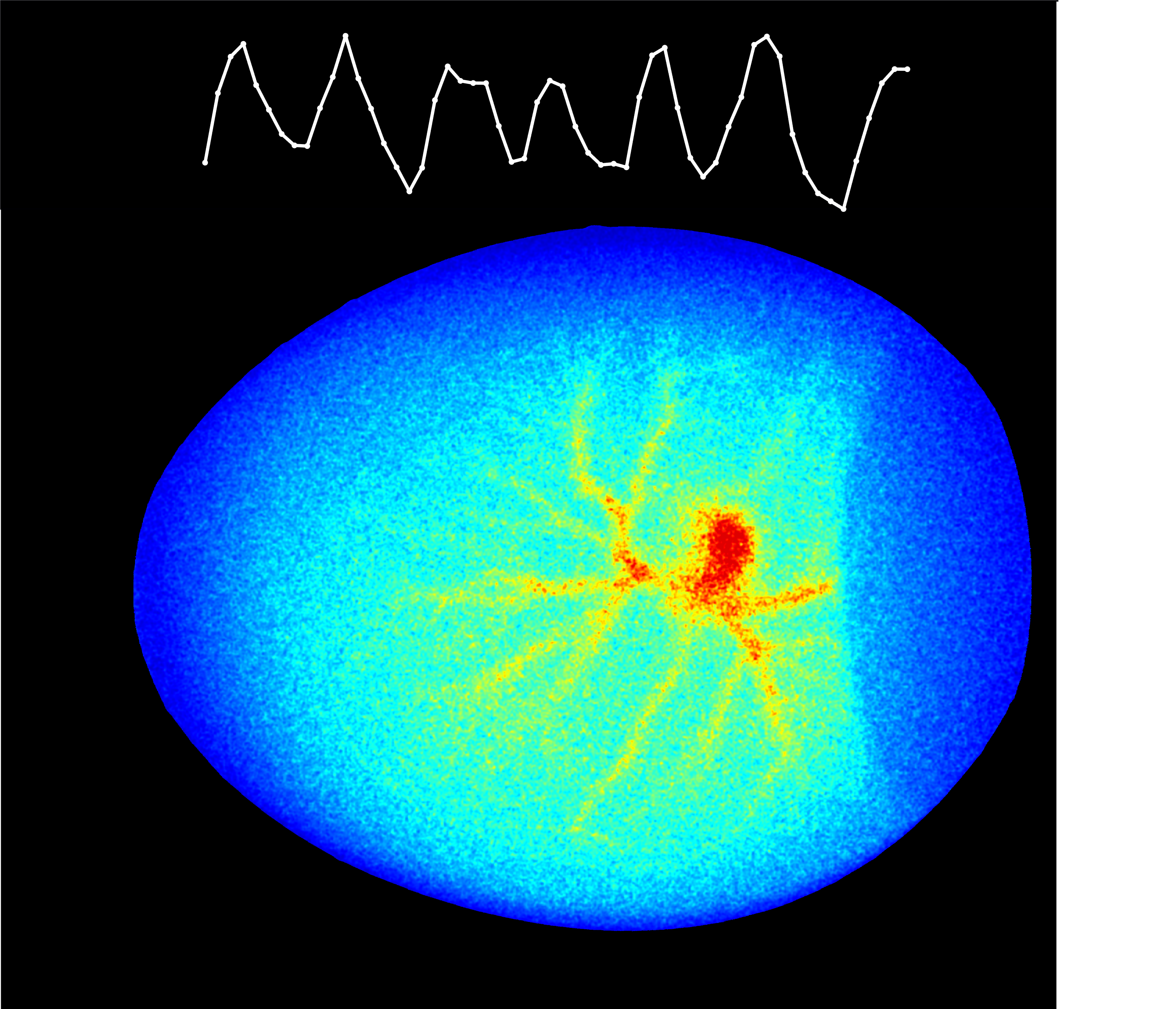 22_egg_imaging_LSCI_paper_cover