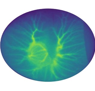 31_LG_egg_paper