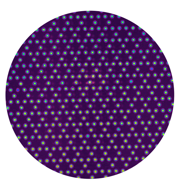 6_fair_sampling_XY_spin_paper