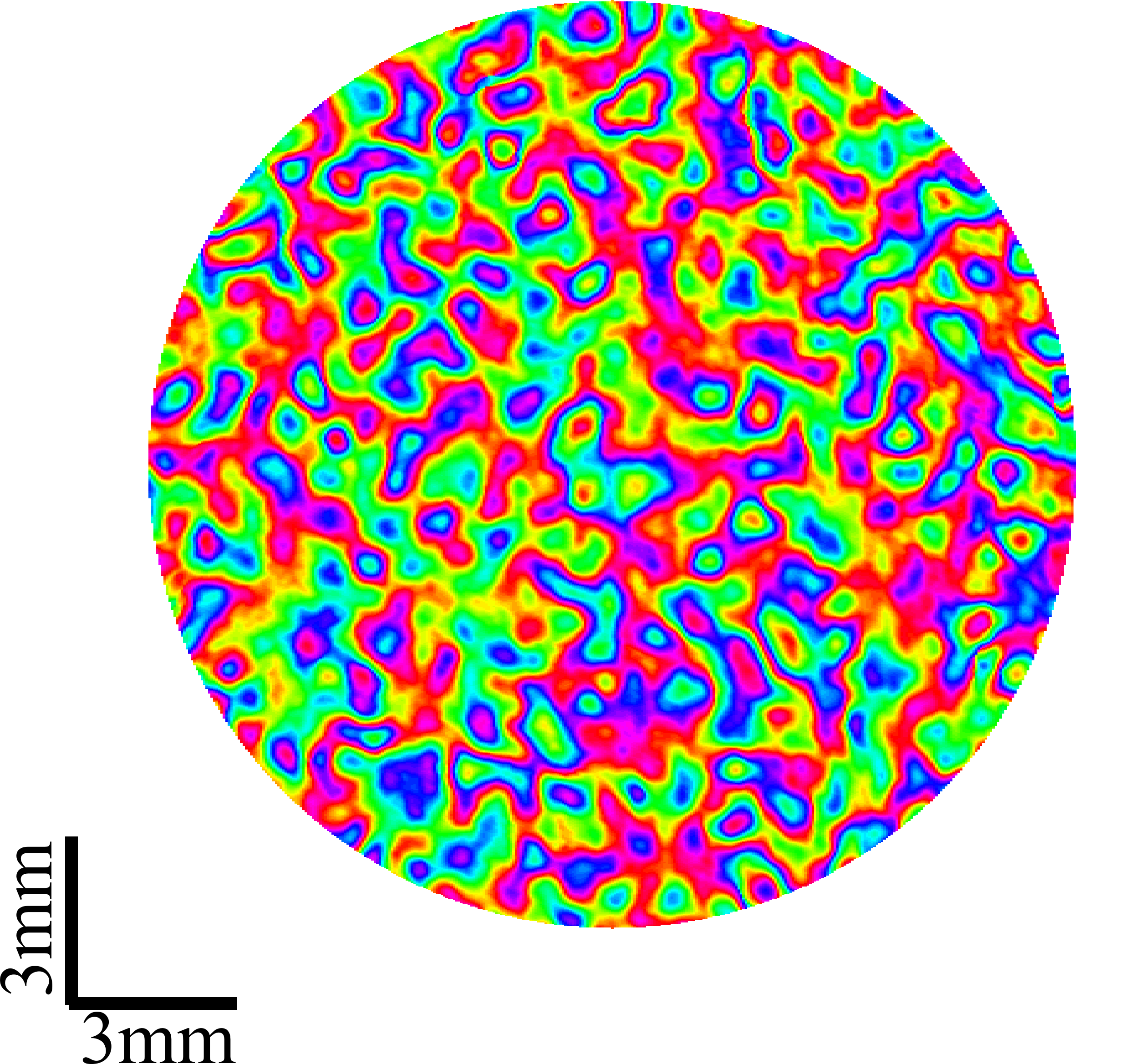7_fast_speckle_reduction_paper